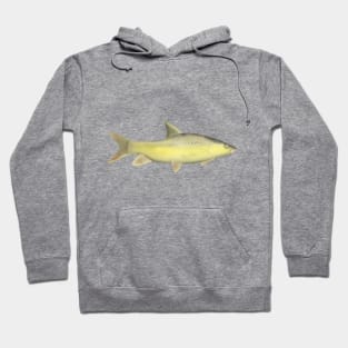 Niger Barb Hoodie